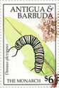 Monarch Butterfly (Danaus plexippus) Caterpillar