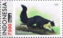 Black Giant Squirrel (Ratufa bicolor)