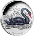 1 Dollar (Birds of Australia - Black Swan)