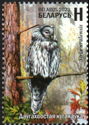 Ural Owl (Strix uralensis)