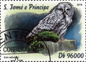 Great grey owl (Strix nebulosa)