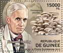 Alexander Fleming and Mushroons