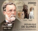 Louis Pasteur and Dogs