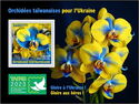 Taiwanese orchids for Ukraine - Taipai 2023