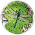 5 Dollars (Dragonfly Lily Pad)