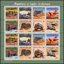 Amphibians & Reptiles of Burundi