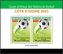 Africa Cup of Nations - Ivory Coast 2023