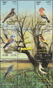 Birds of the Nile Valley and Delta