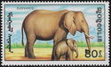 African Elephant (Loxodonta africana)
