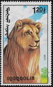 Lion (Panthera leo)