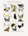 Cats of the World