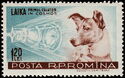 Laika (Canis lupus familiaris) and Sputnik II