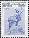 Greater Kudu (Tragelaphus strepsiceros)