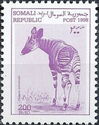 Okapi (Okapia johnstoni)
