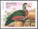 African Pygmy Goose (Nettapus auritus)