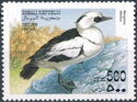 Smew (Mergellus albellus)