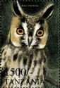 Long-eared Owl (Asio otus)