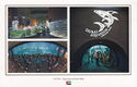 Dubai. Aquarium at Dubai Mall