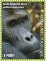 Eastern Lowland Gorilla (Gorilla beringei graueri)