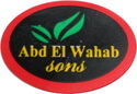 Abd El Wahab sons