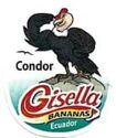 Gisella Bananas Condor