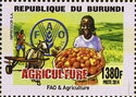 F.A.O & Agriculture