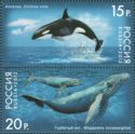 Fauna of Russia - Whales