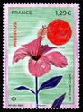 Hibiscus (Hibiscus sp)