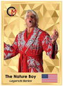 5 Dollars (Legends Series - Ric Flair “Nature Boy”)