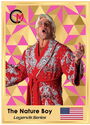 5 Dollars (Legends Series - Ric Flair “Nature Boy” - Color background)