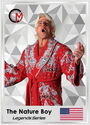 1 Dollar (Legends Series - Ric Flair “Nature Boy”)