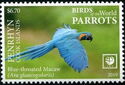 Blue-throated Macaw (Ara glaucogularis)