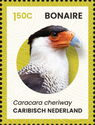 Crested Caracara (Caracara cheriway)