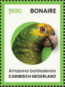 Yellow-shouldered Parrot (Amazona barbadensis)