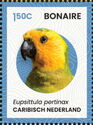 Brown-Throated Parakeet (Eupsittula pertinax)