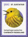 Yellow Warbler (Setophaga petechia)
