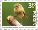 Common Chiffchaff (Phylloscopus collybita)