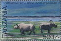 Rhinoceroses, Ngorongoro Crate