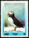 Atlantic Puffin (Fratercula arctica)