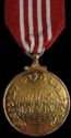 Defence Force Medal