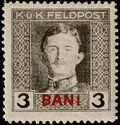 Emperor Karl I (1887-1922) overprinted in BANI