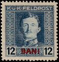 Emperor Karl I (1887-1922) overprinted in BANI