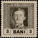 Emperor Karl I (1887-1922) overprinted in BANI