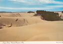 Oregon Dunes, National Recreation Area