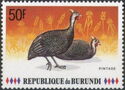Helmeted Guineafowl (Numida meleagris)
