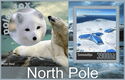 North Pole