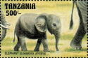 African Elephant (Loxodonta africana)