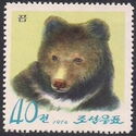Ussuri Brown Bear (Ursus arctos lasiotus)