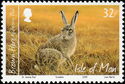 European Hare (Lepus europaeus)