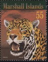 Jaguar (Panthera onca)